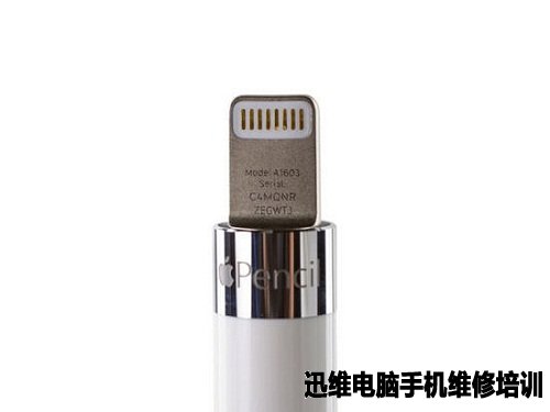 Apple Pencil拆解吃力:拆完即报废