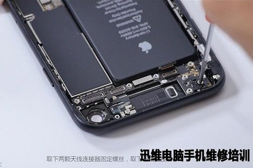 iphone7拆机 图16取下天线连接器.
