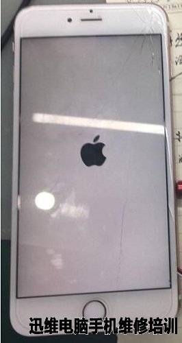 iPhone 6s Plus 阴阳屏不触摸维修 图5