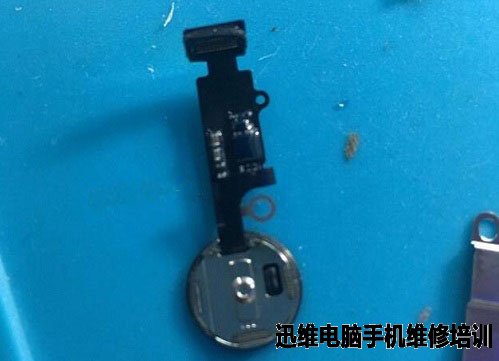 iPhone 7 Plus换外屏维修 图11
