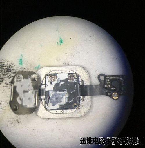 无指纹iPhone6维修全过程