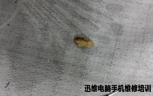 佳能MP288打印机卡纸故障维修 图14