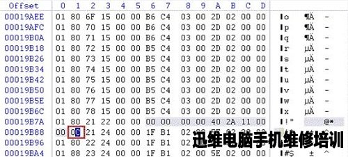 蓝色选中部分就是P表一个缺陷条目的内容