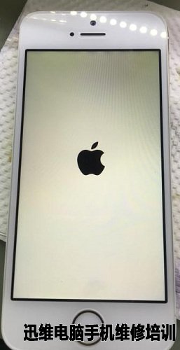iPhone5s开机白苹果重启 图1