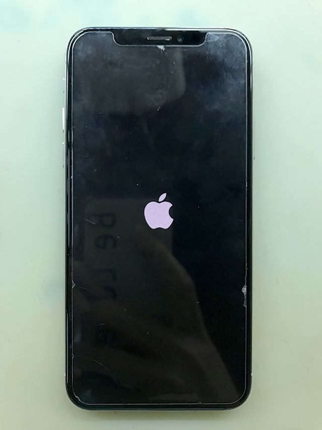 进水iPhone X开机卡白苹果进不了系统维修 图1