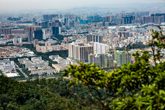 重阳节登高——2020迅维实地学员秋游凤凰山