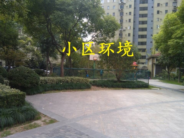 小区环境