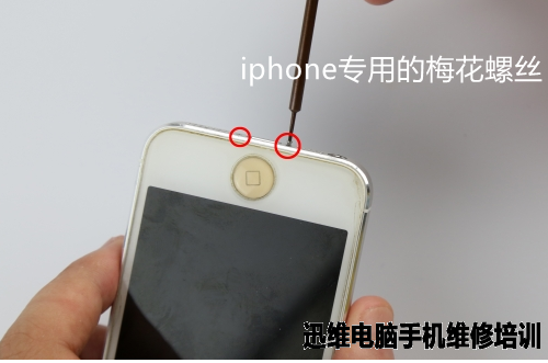 苹果iPhone5拆机更换电池、Home键