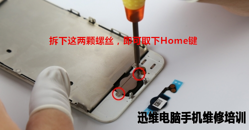 苹果iPhone5拆机更换电池、Home键