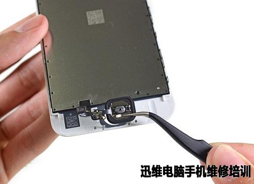 iPhone6s玫瑰金版详细拆机教程