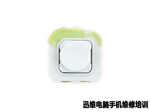 苹果AirPods分体式无线耳机拆解!