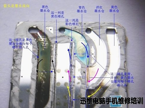 爱普生Epson四色打印机喷墨头拆解(二) 图26