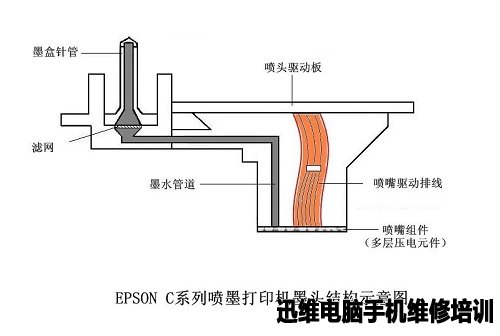 爱普生Epson四色打印机喷墨头工作原理 图1