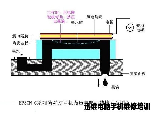 爱普生Epson四色打印机喷墨头工作原理 图2