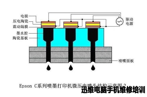 爱普生Epson四色打印机喷墨头工作原理 图3