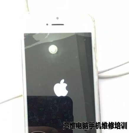 iPhone5s信号突然消失，刷机报错4005维修 图5
