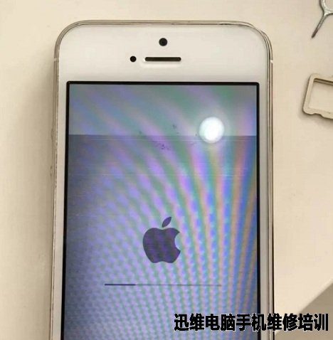 iPhone5s信号突然消失,刷机报错4005维修 图13