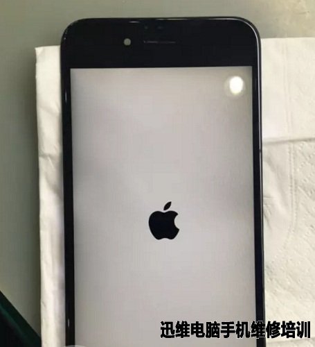 iPhone6重摔 有背光不显示故障维修 图8