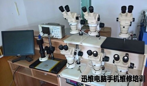 奥林巴斯体视显微镜、高清电子显微镜演示