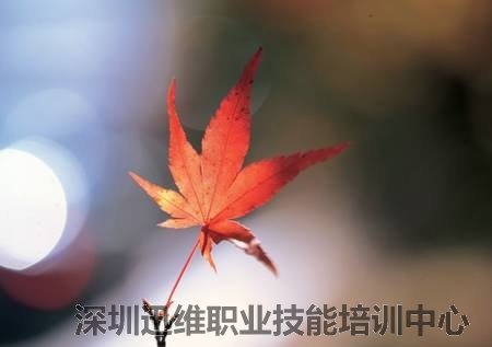 欲成大事者,绝不在烂事上纠缠
