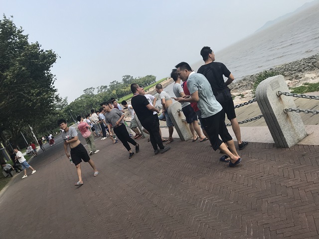 金秋九月,迅维实地学员游玩深圳湾公园+毕业聚餐