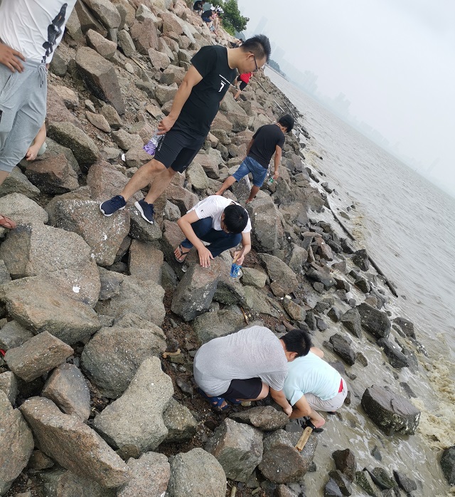 金秋九月,迅维实地学员游玩深圳湾公园+毕业聚餐